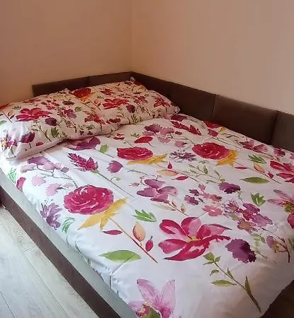 Nad Stawem Apartment Kudowa Zdroj